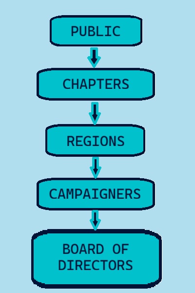 This is the national hierarchy. First the public, then chapters, regions, campaigners, and finally the Board of Directors